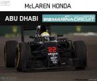 Jenson Button İngiliz sürücü sırasında onun McLaren pilotu 2016 Abu Dabi GP onun katılım